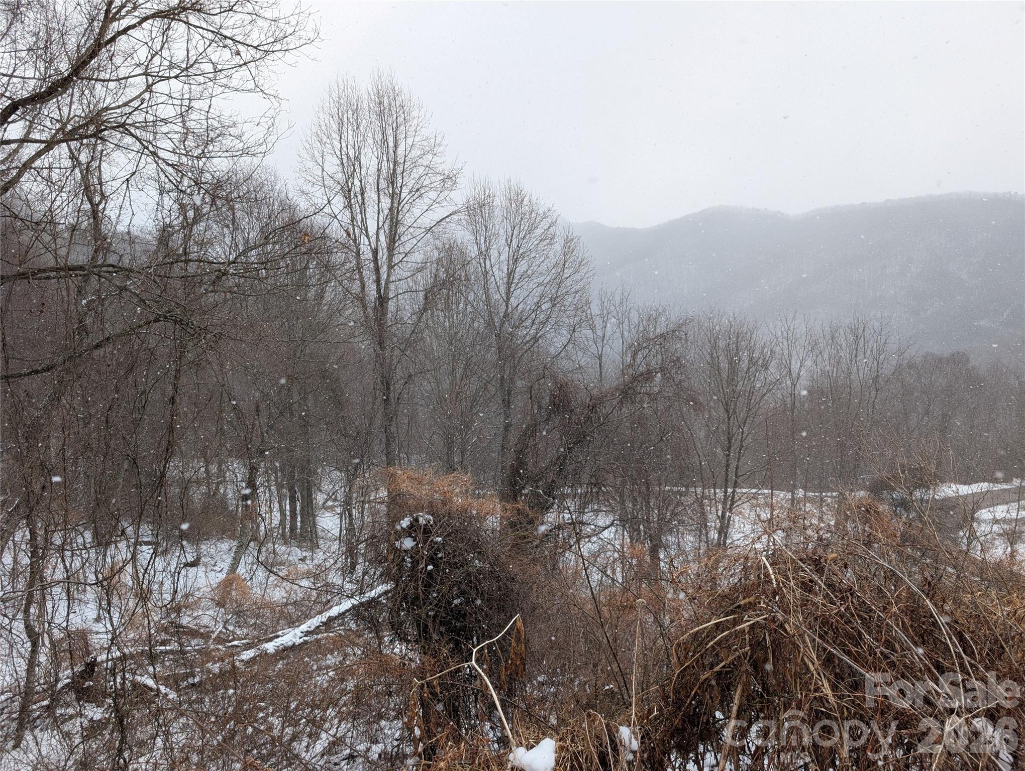 00 Bear Wallow Trail