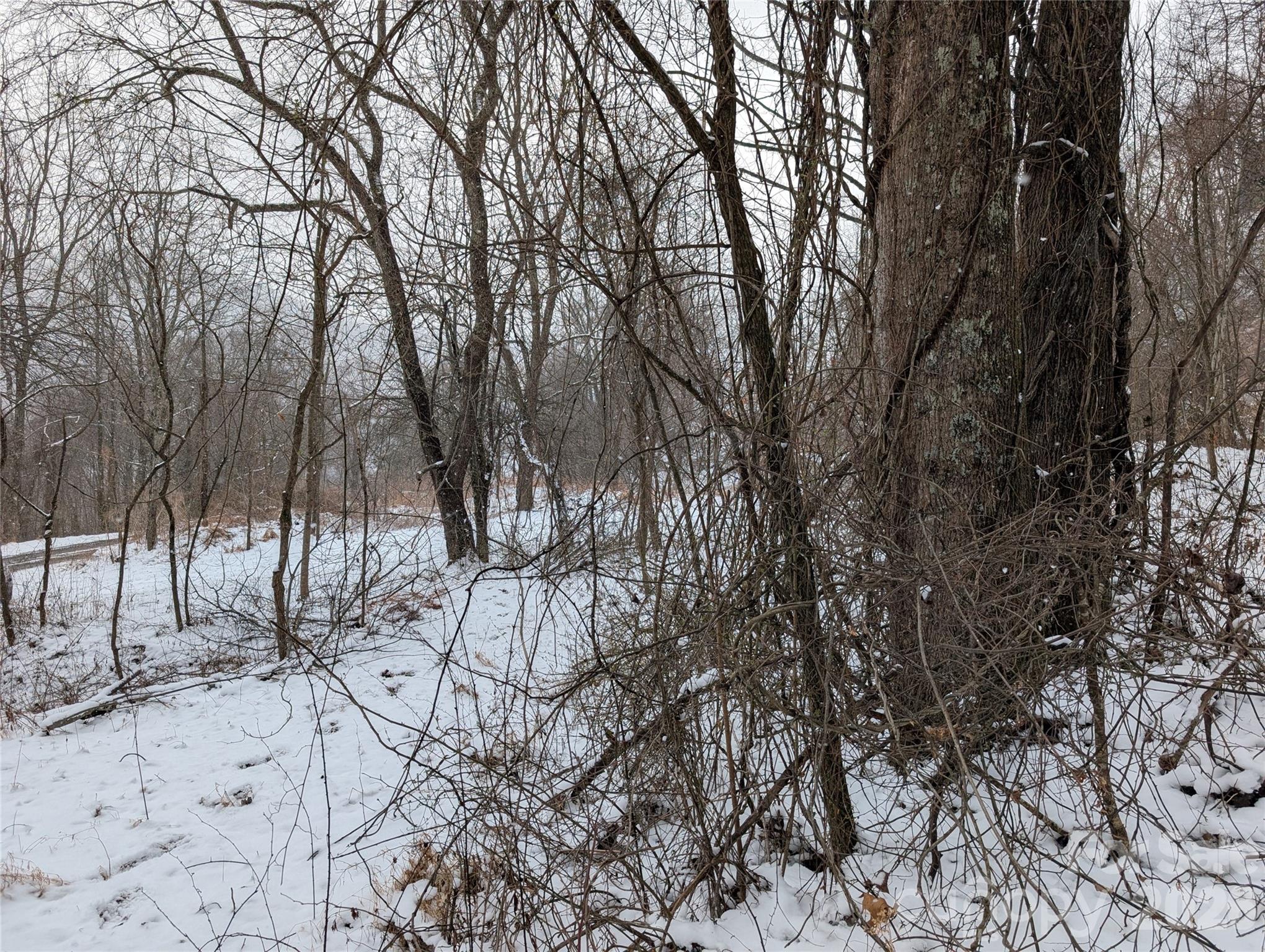 00 Bear Wallow Trail