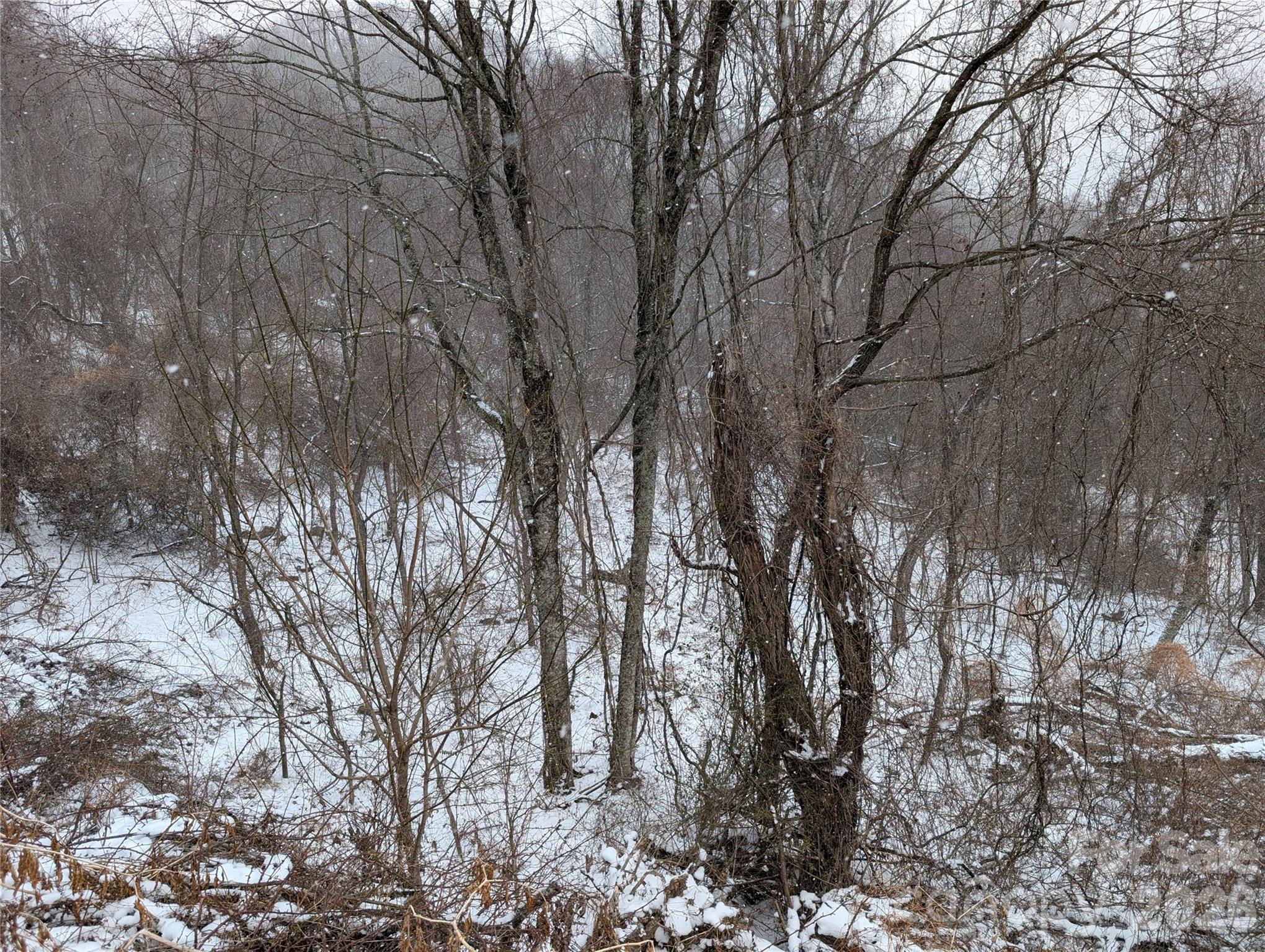 00 Bear Wallow Trail