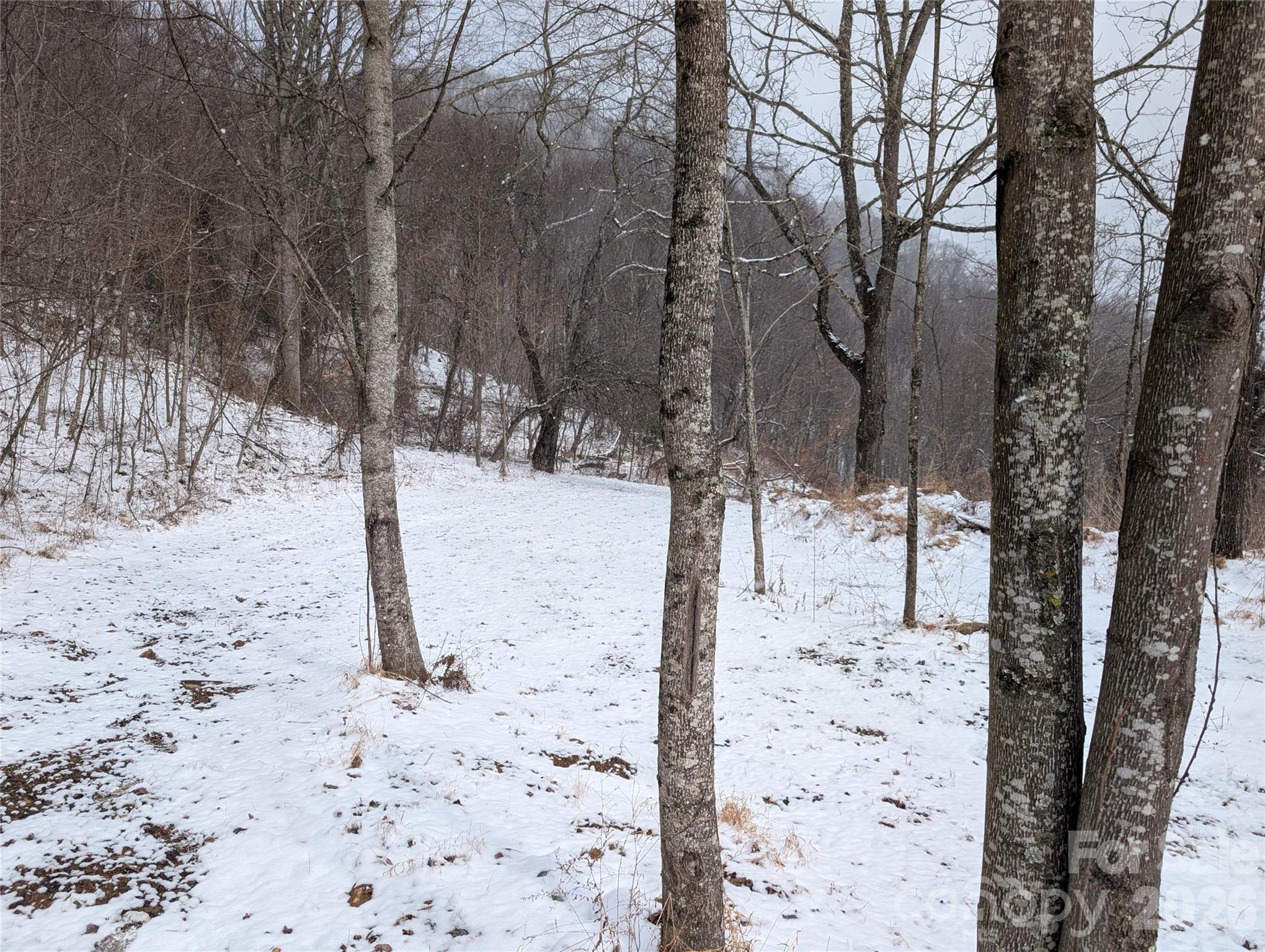 00 Bear Wallow Trail