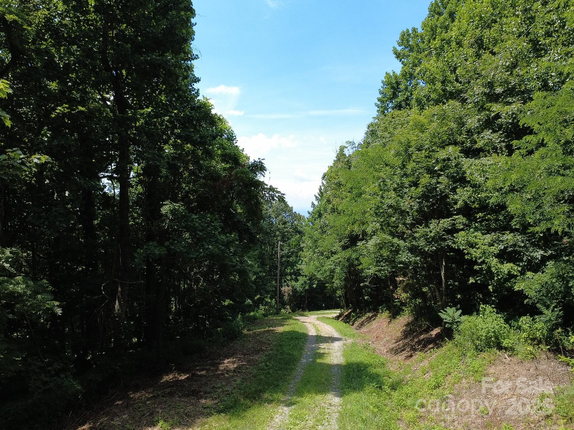 Silver Creek Springs - Land