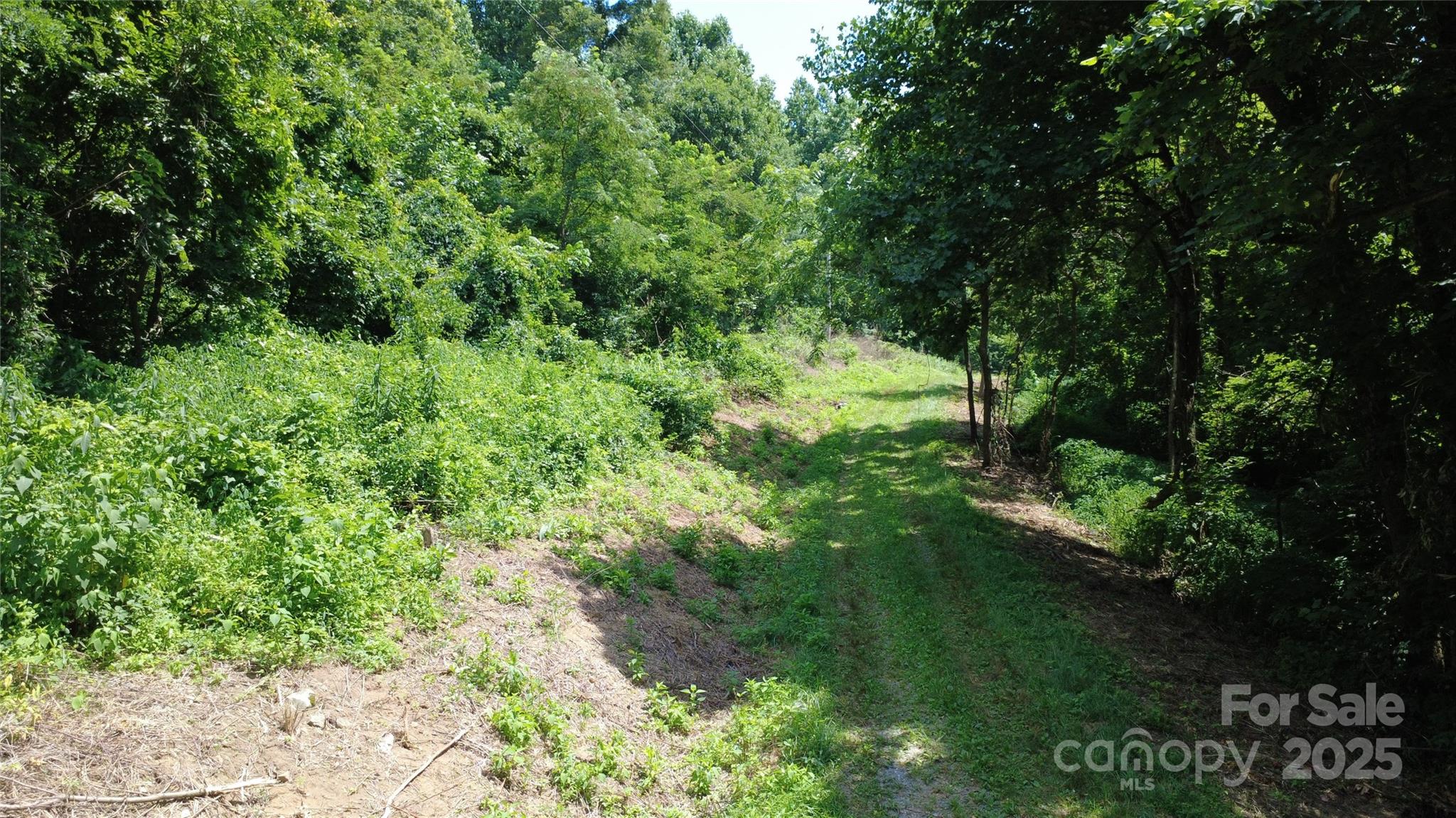 Silver Creek Springs - Land