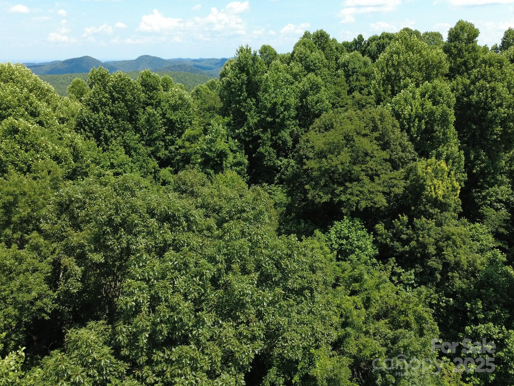 Silver Creek Springs - Land