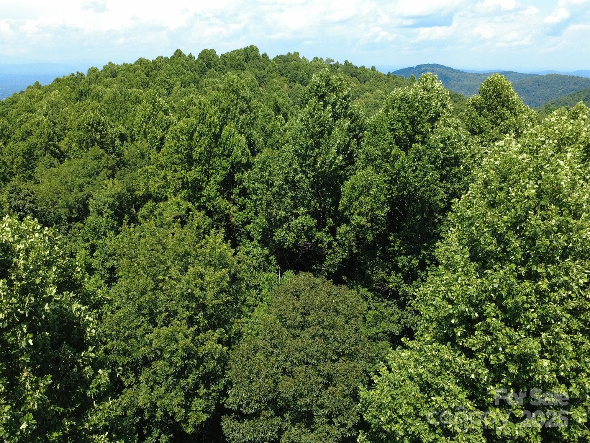 Silver Creek Springs - Land