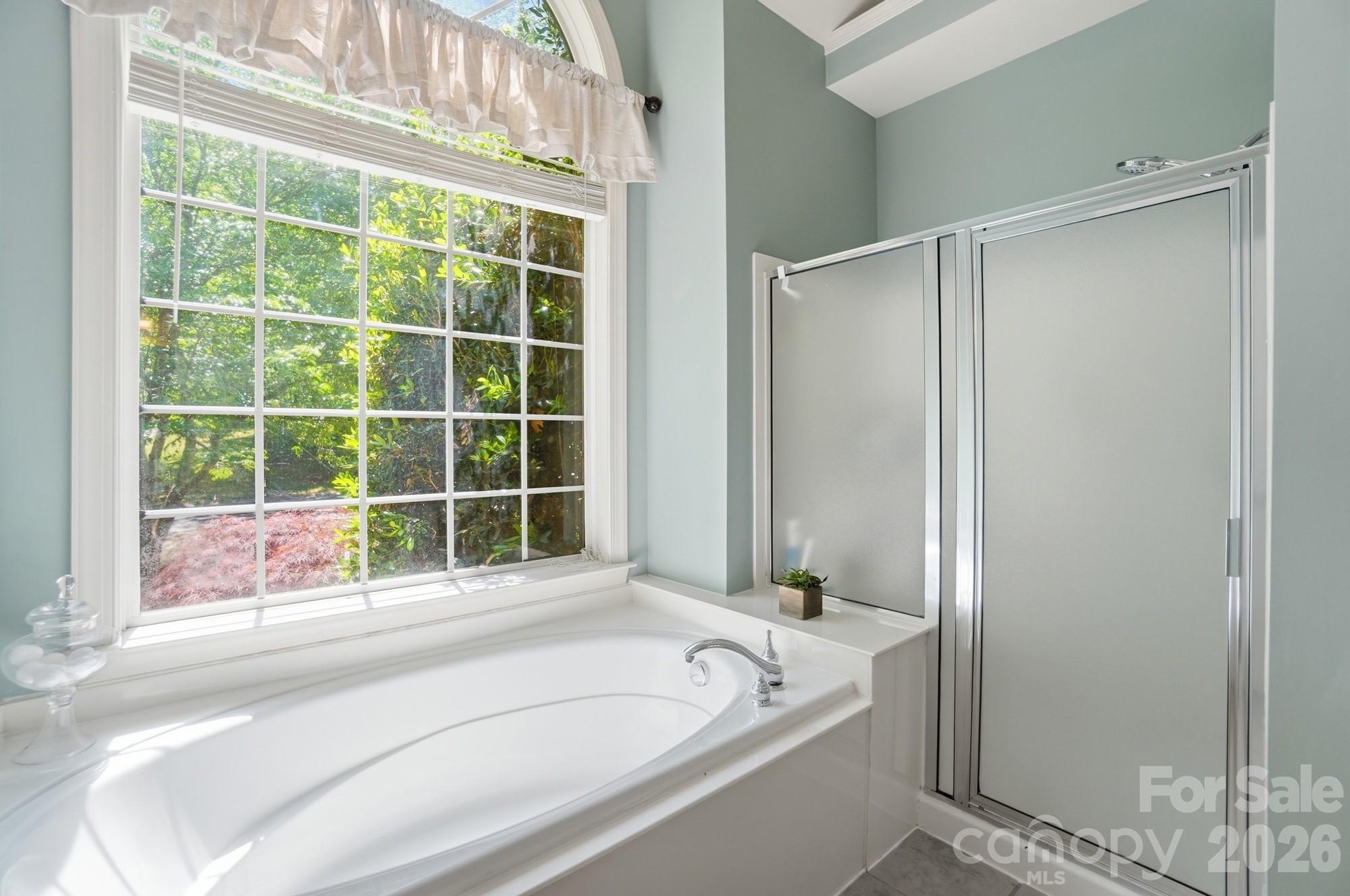 Potters Bluff - Residential