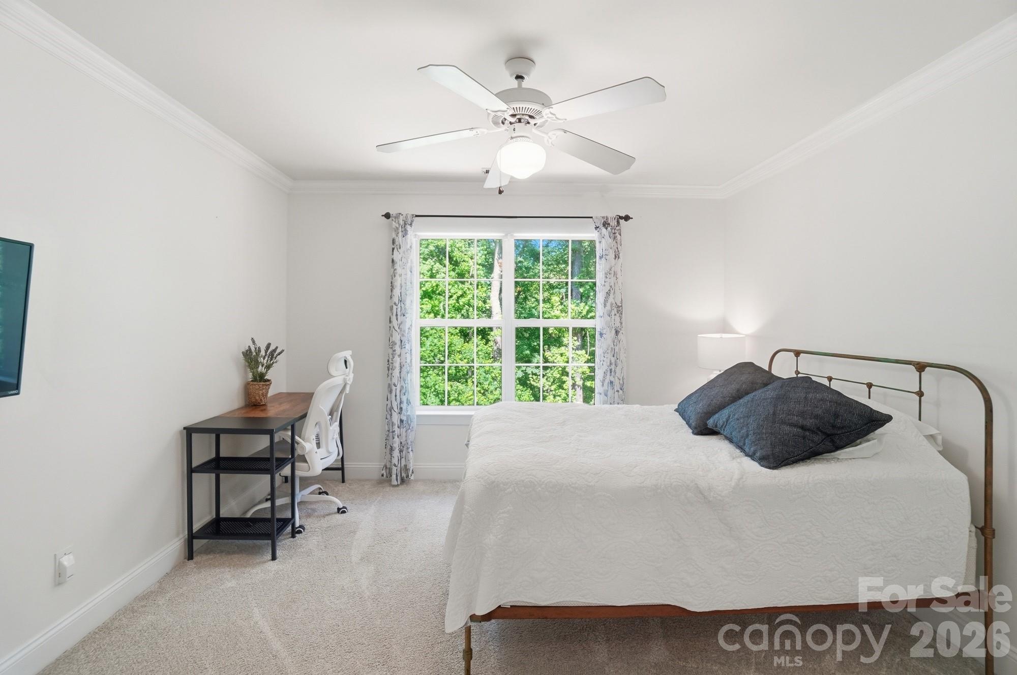 Potters Bluff - Residential