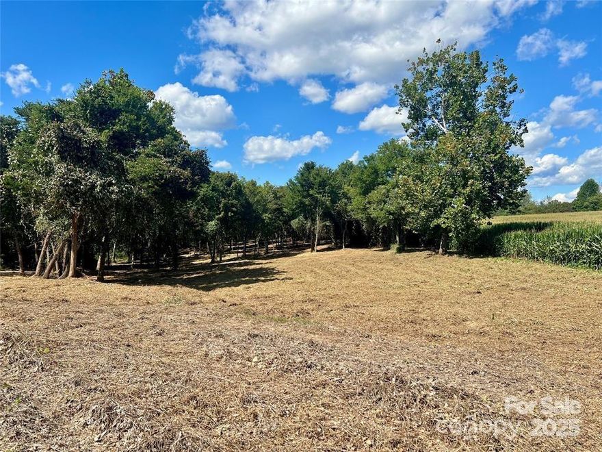 Nice unrestricted acreage located in Hamptonville. Hamptonville is known for it's peaceful rural lifestyle with easy access to urban amenities and it's known for wineries, vineyards, farms and specialty shops, particularly it's agricultural heritage and attractions like Shiloh General Store and Swan Creek Farm. Plat and soil analysis have been completed. Per zoning ordinance, may have up to 3 site built or manufactured homes on a single parcel. Minimum size and development standards may also apply. Dwellings must comply with all applicable requirements of the RA district. See section 111-338 of the zoning ordinance. Septic Permit for a 4 bedroom home is attached. Numerous fruit trees on property including persimmon, also has muscadines growing.