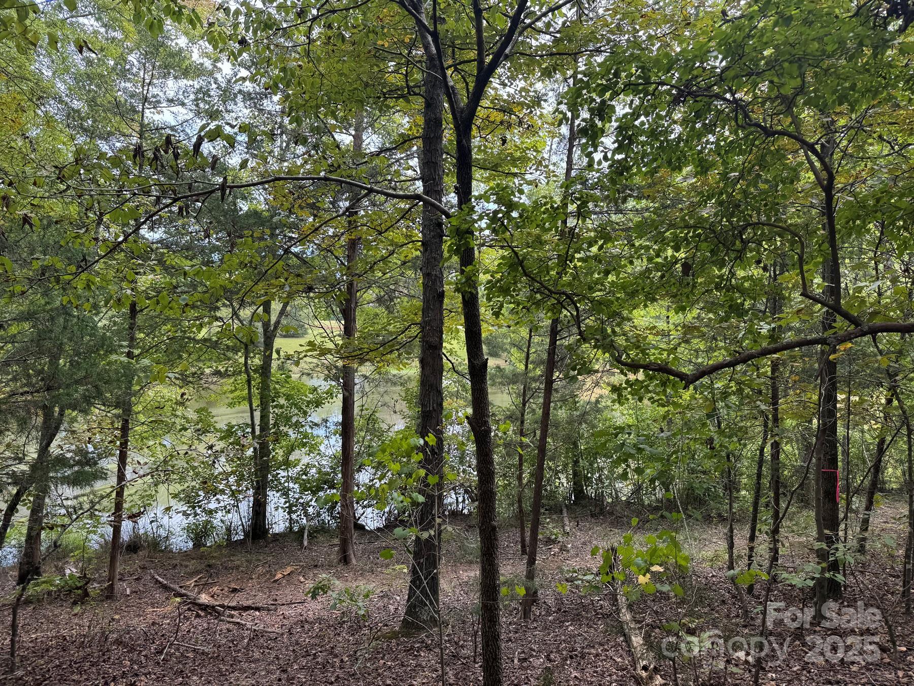 357 Pendergrass Road