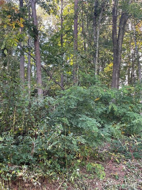 Photo of 99999 Shelby Drive, Asheville, NC 28803 (MLS # 4311335)