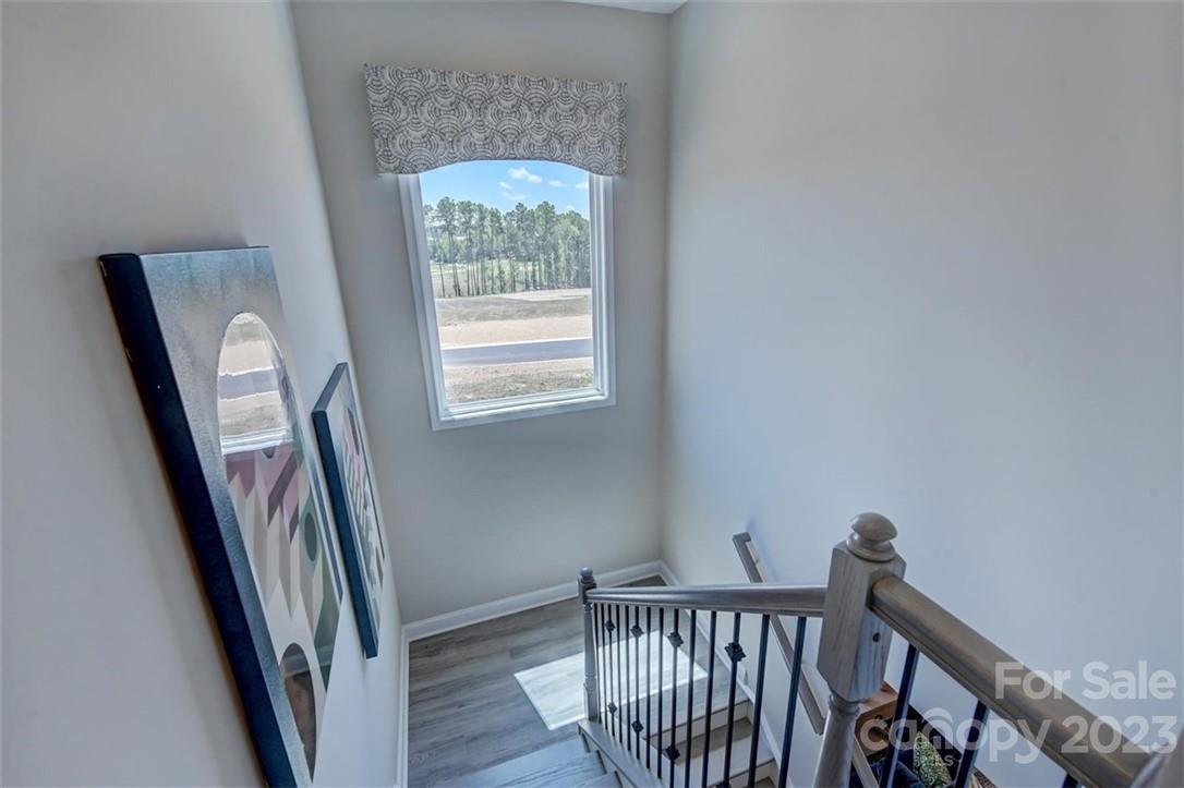 Meadow Vista - Residential