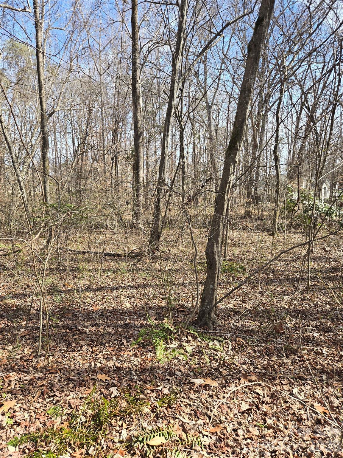 Waterford Green - Residential