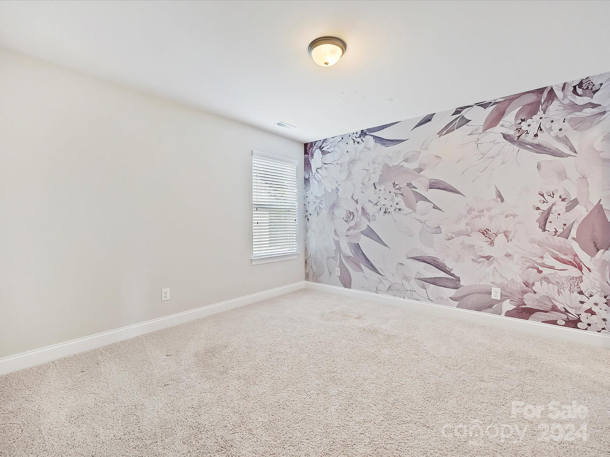 Pleasant Plains - Residential