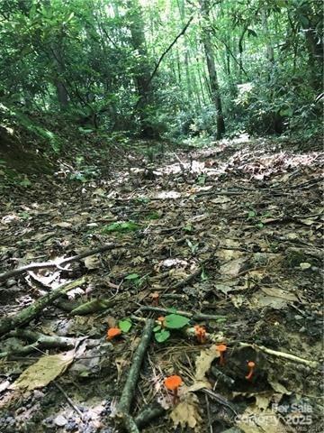 172 Crimson Drive 995