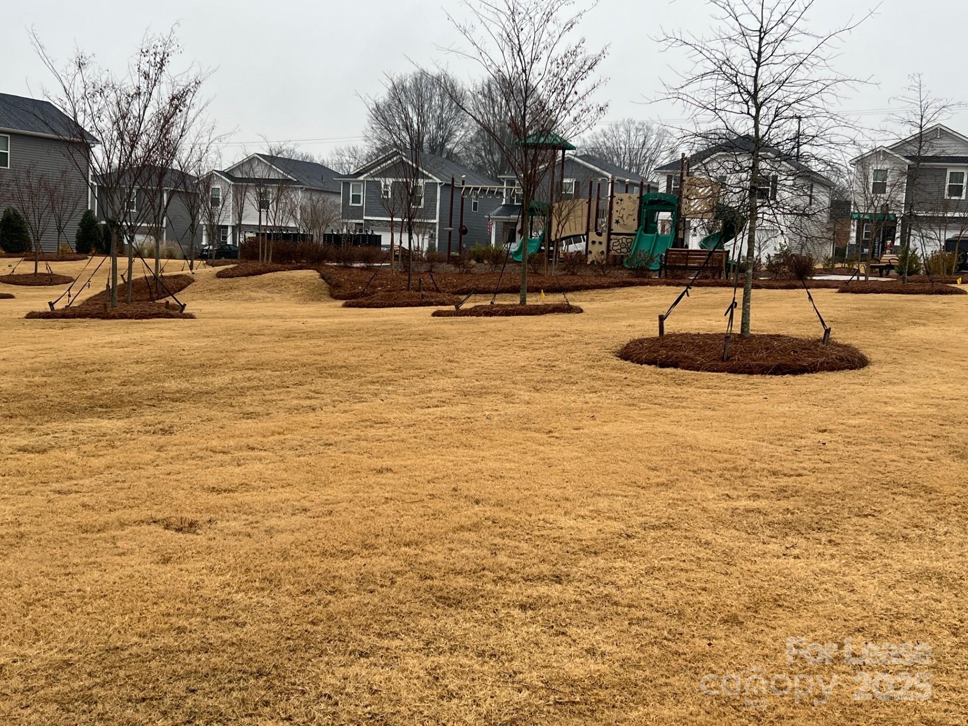 Walnut Reserve - Residential Lease