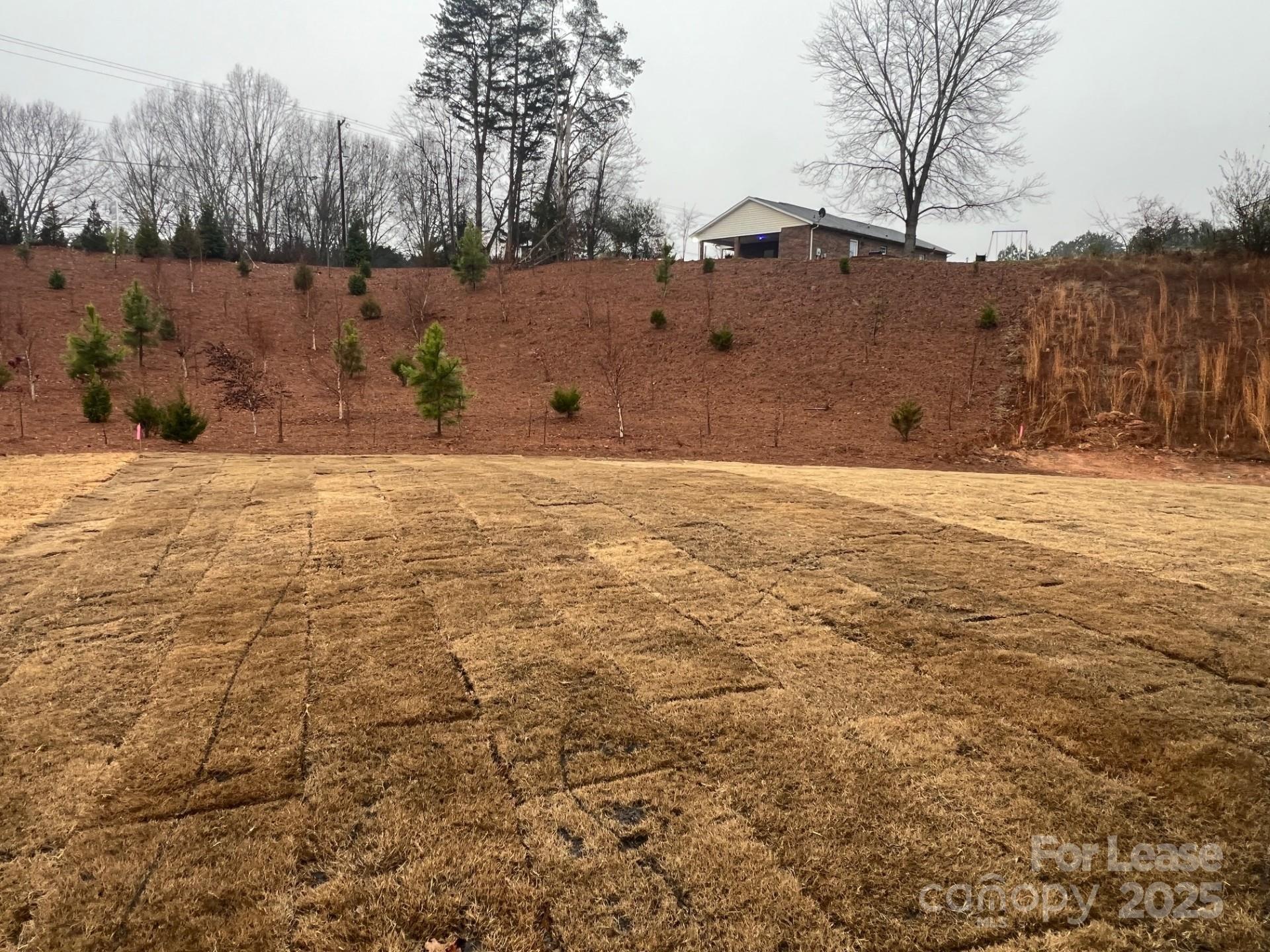 Walnut Reserve - Residential Lease