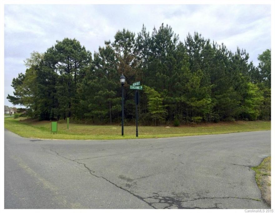 Residential Lot 15 minutes south of Ballantyne - 1 acre plus lots - varied Architecture, a true CUSTOM home community! All brick, stone or stucco exteriors, 2200 sq. ft. min. build, Requires septic.  Beautiful 5 acre community fishing pond. 2 floor plans available with pricing for review by Shoreline Builders with preliminary Arch. review.  Floor plans and elevations to follow OR bring your own builder. Call listing agent for more information.