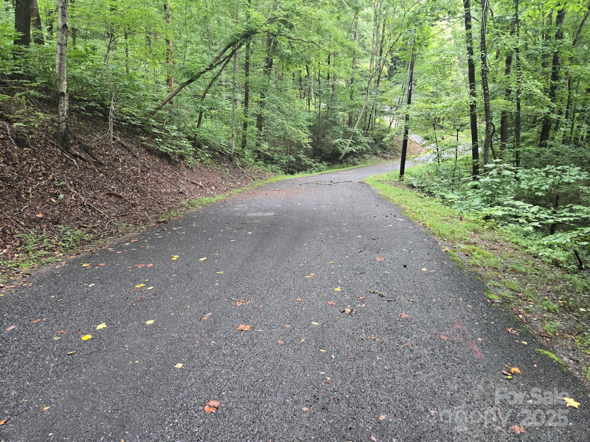 Rumbling Bald on Lake Lure - Land