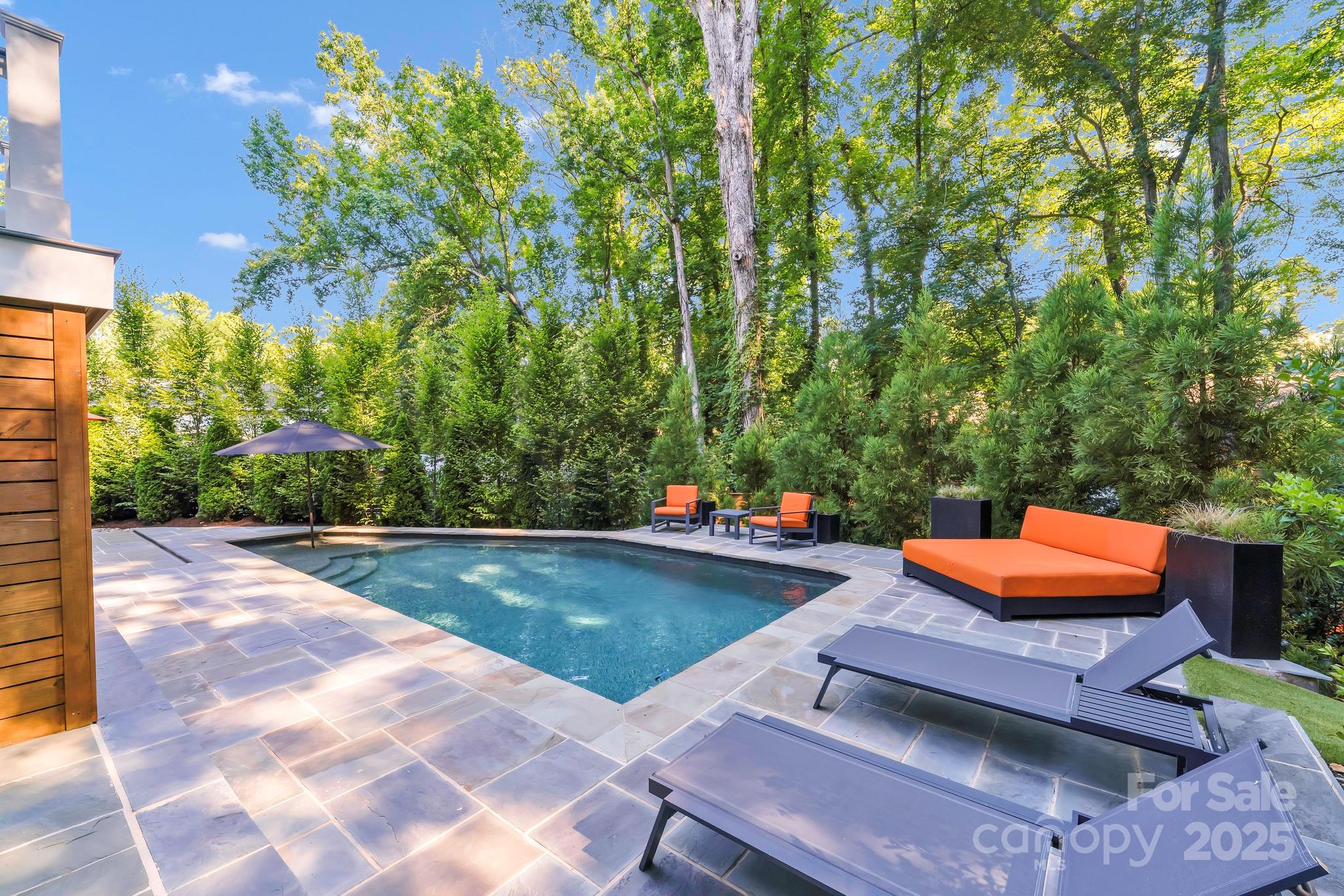 4211 Tangle Drive