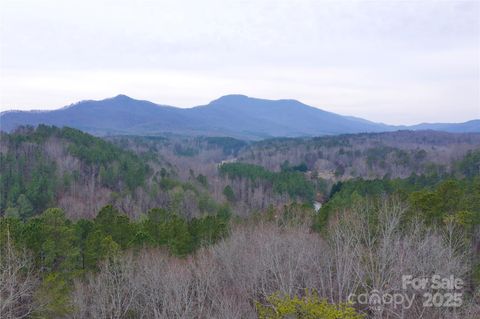 1140 Hwy 9 Highway Mill Spring NC 28756