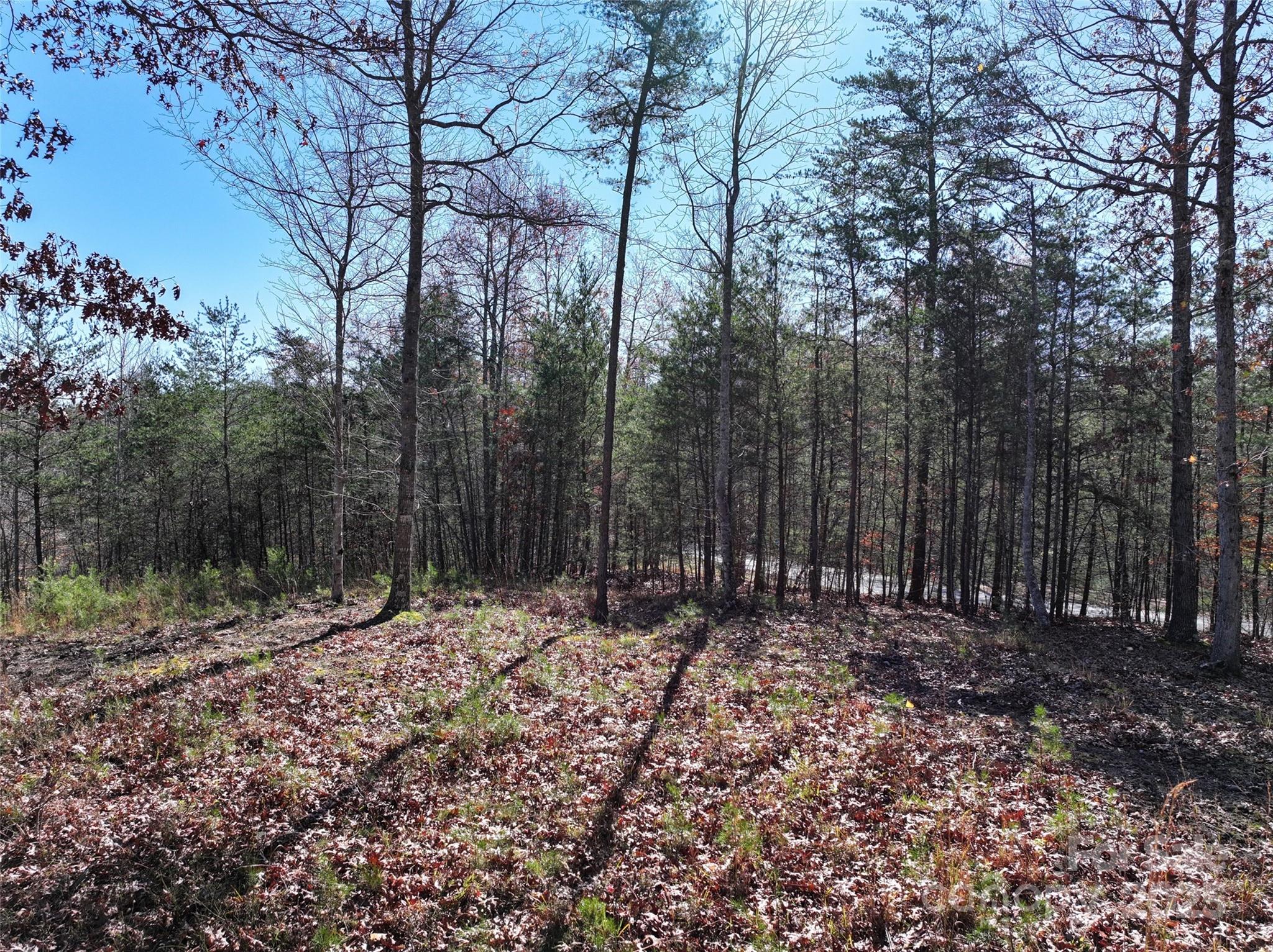 French Broad Crossing - Land