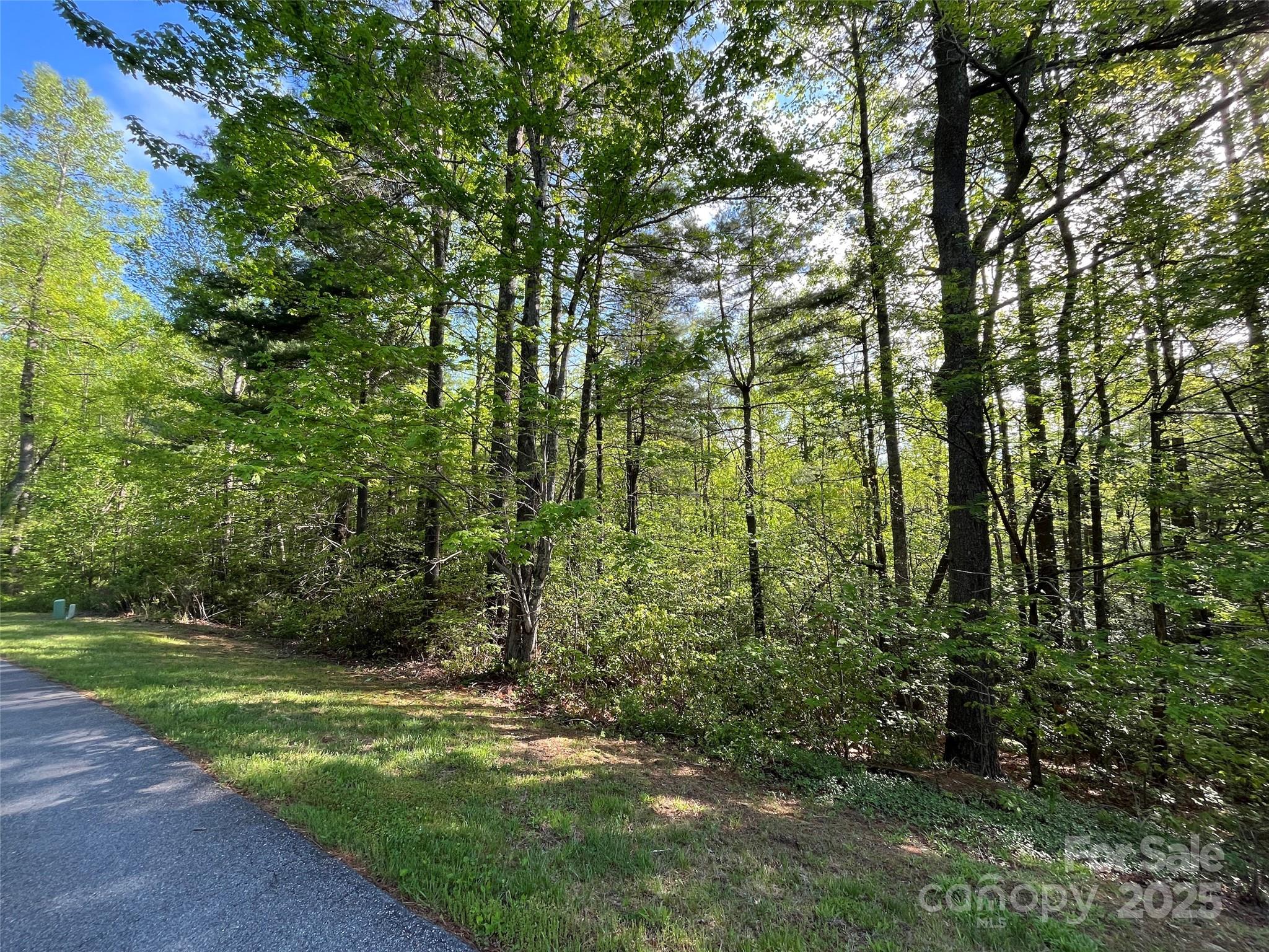 305 Freedom Trail Court 46