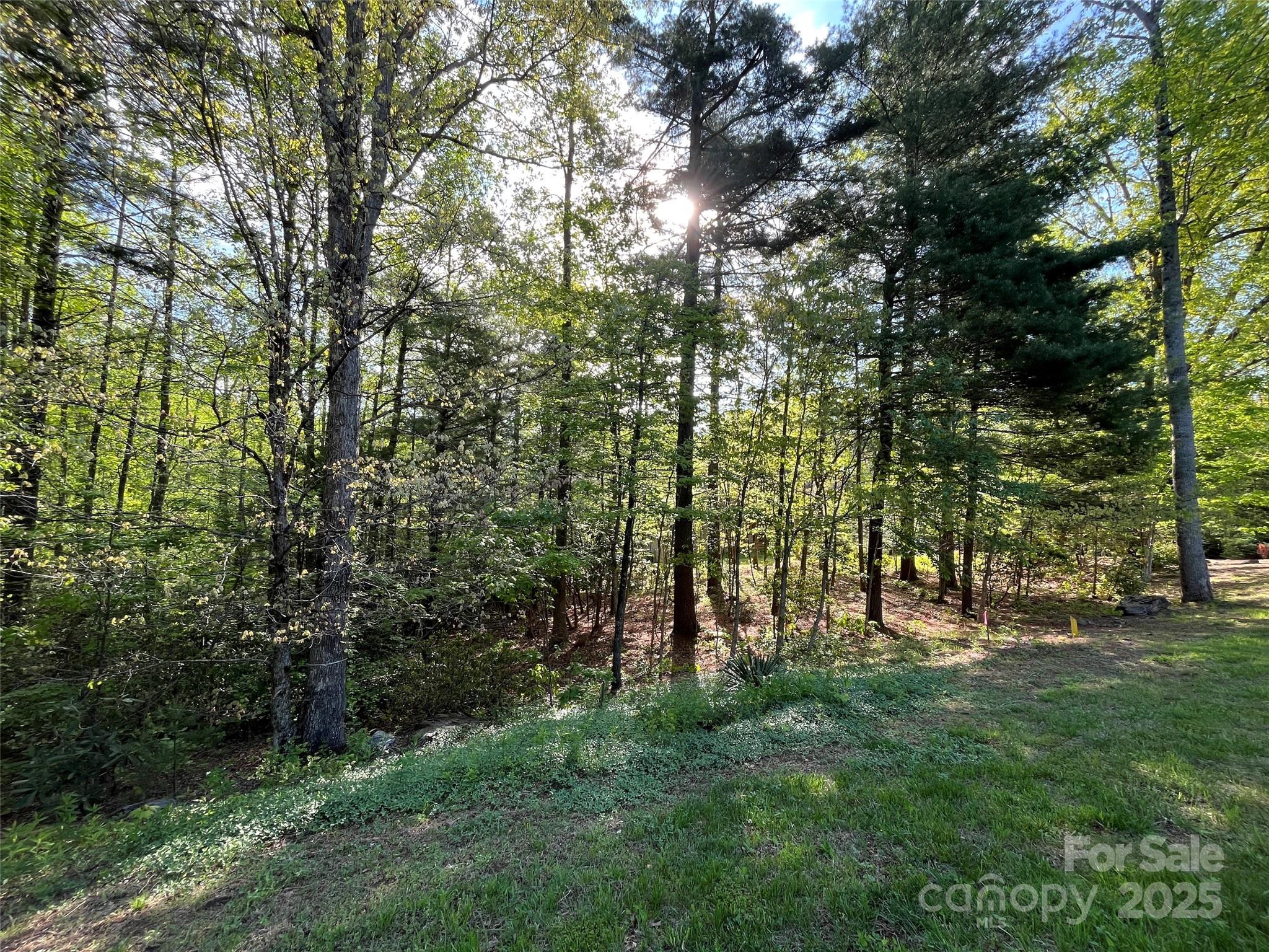 305 Freedom Trail Court 46