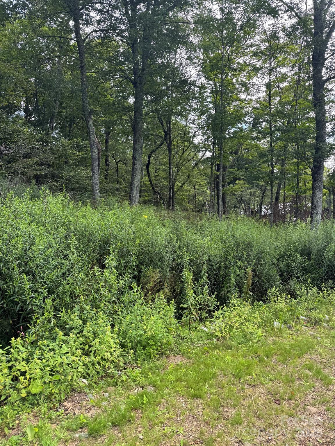 Lot 108 Buena Vista Loop
