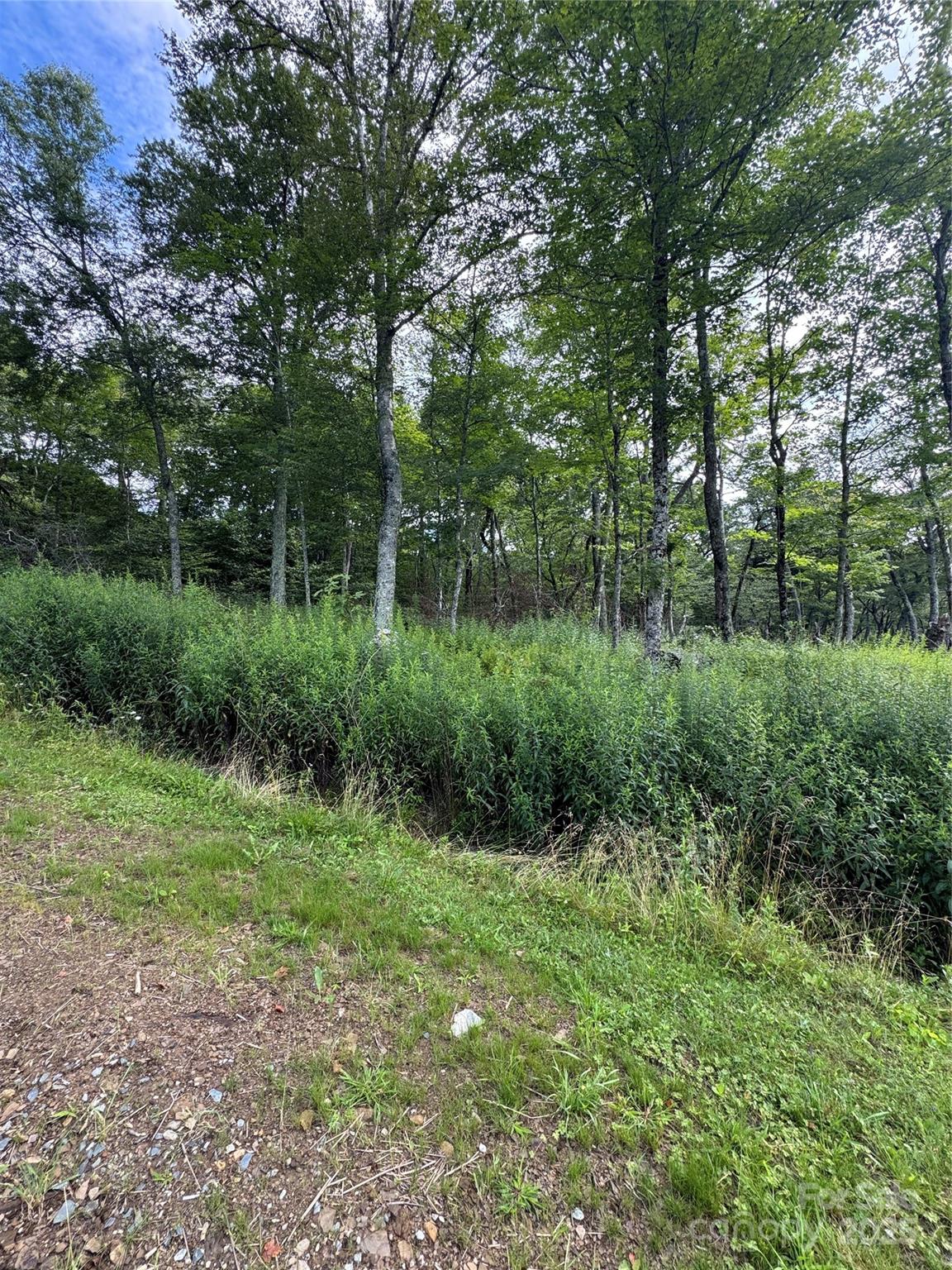 Lot 108 Buena Vista Loop