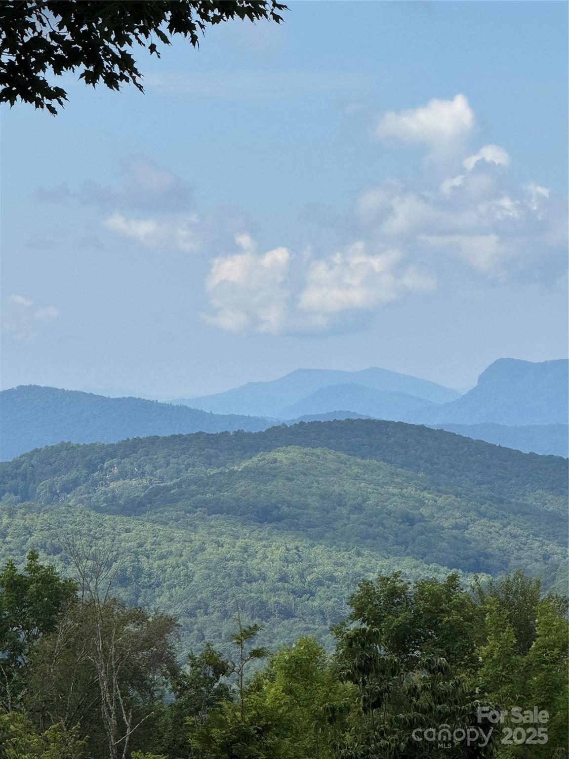 Lot 108 Buena Vista Loop