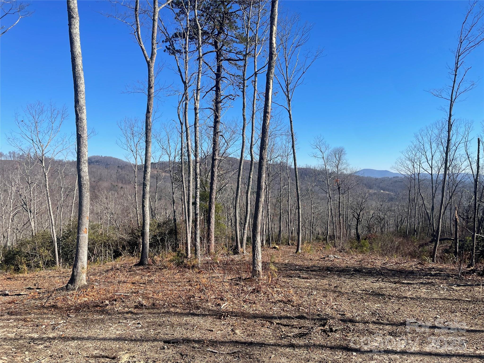 0000 Mountain Grove Lane 59