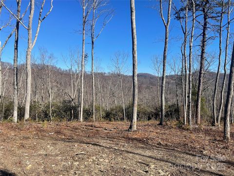 0000 Mountain Grove Lane 59 Fletcher NC 28732