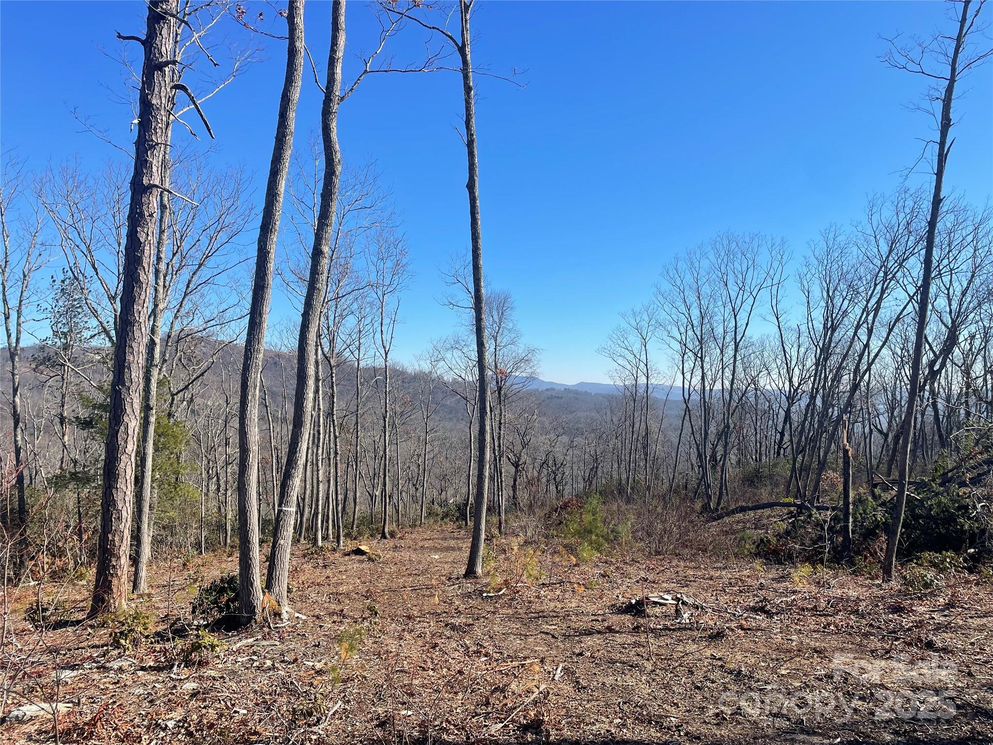 0000 Mountain Grove Lane 59