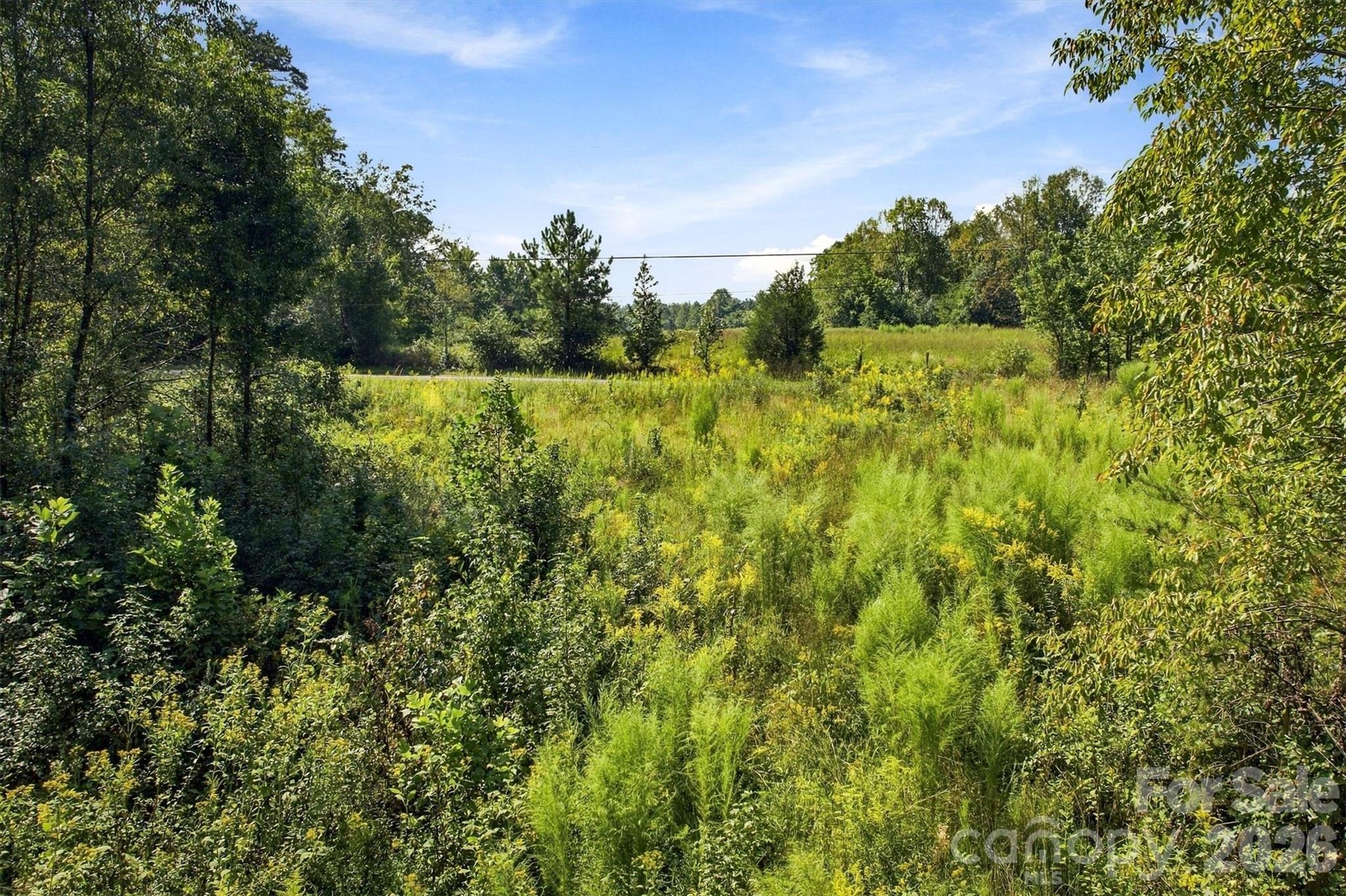 2014 Dogwood Vista