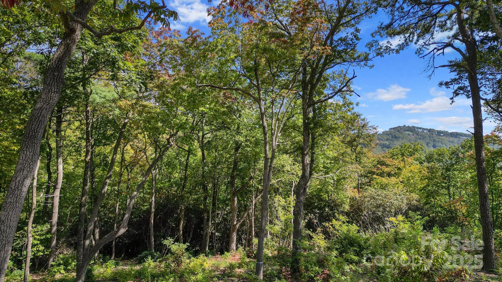 0 Mountain Grove Lane Lot 62