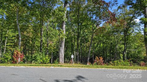 0 Mountain Grove Lane Lot 62 Fletcher NC 28732