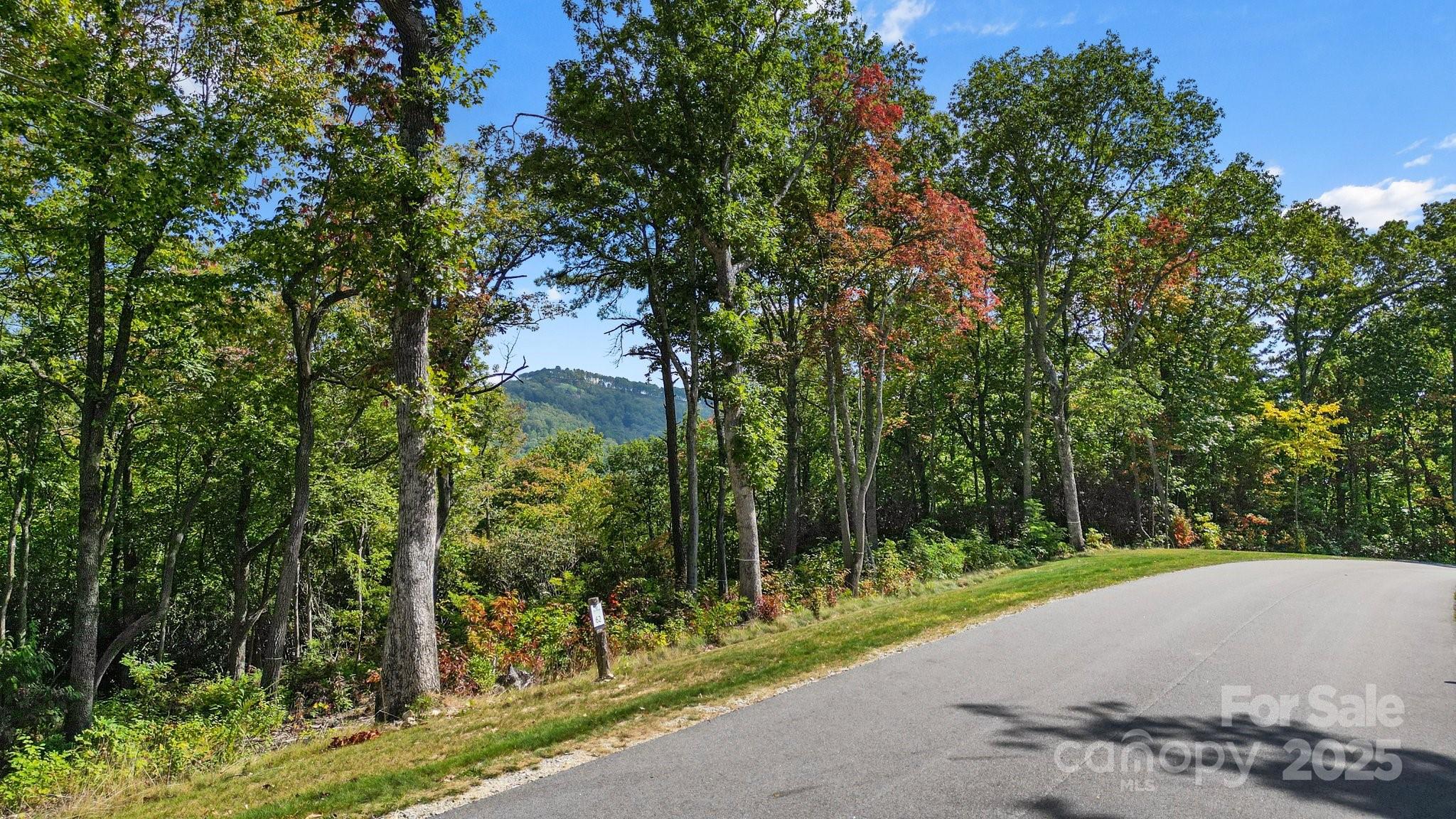 0 Mountain Grove Lane Lot 62