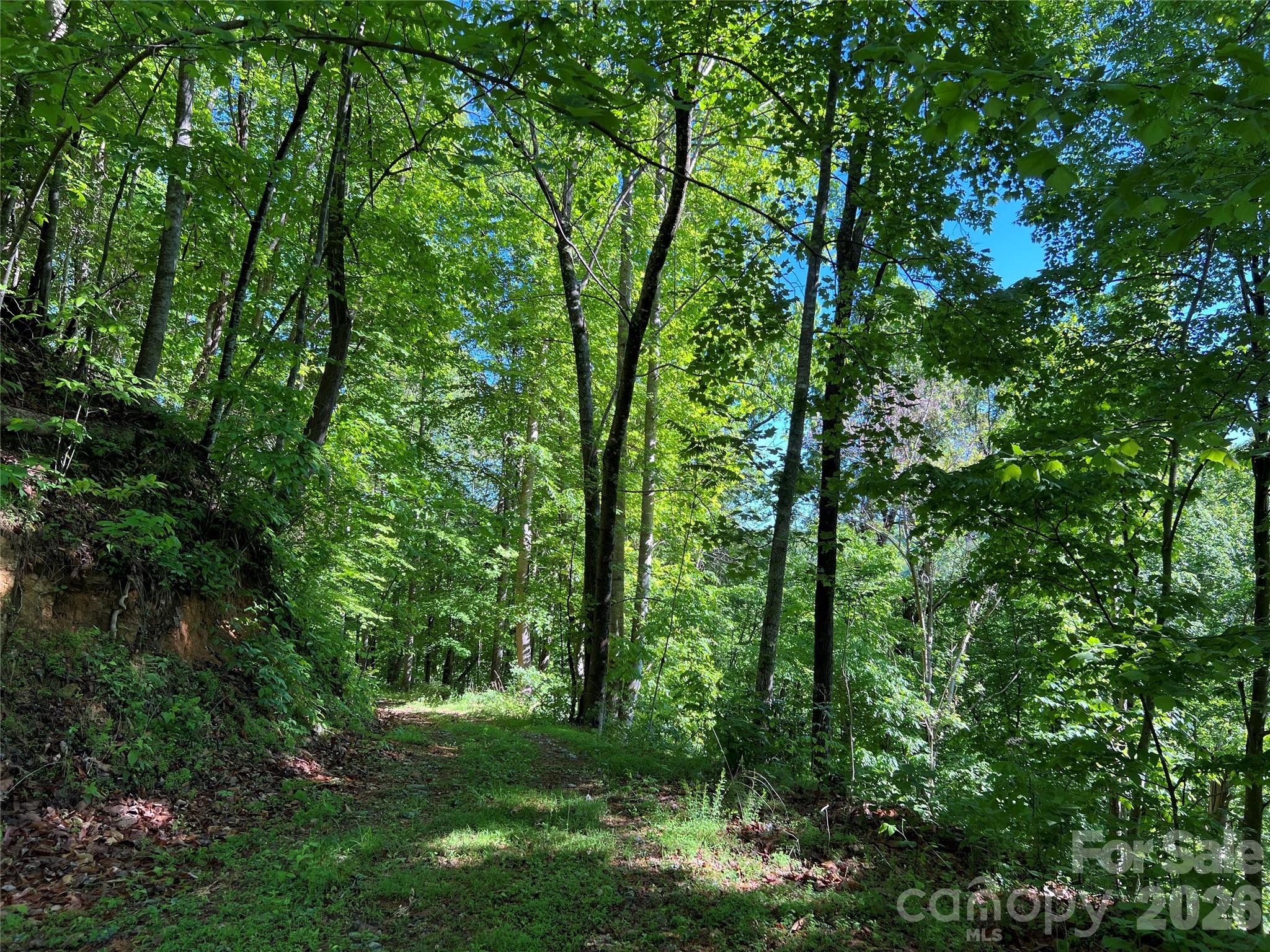 TBD Valley Drive
