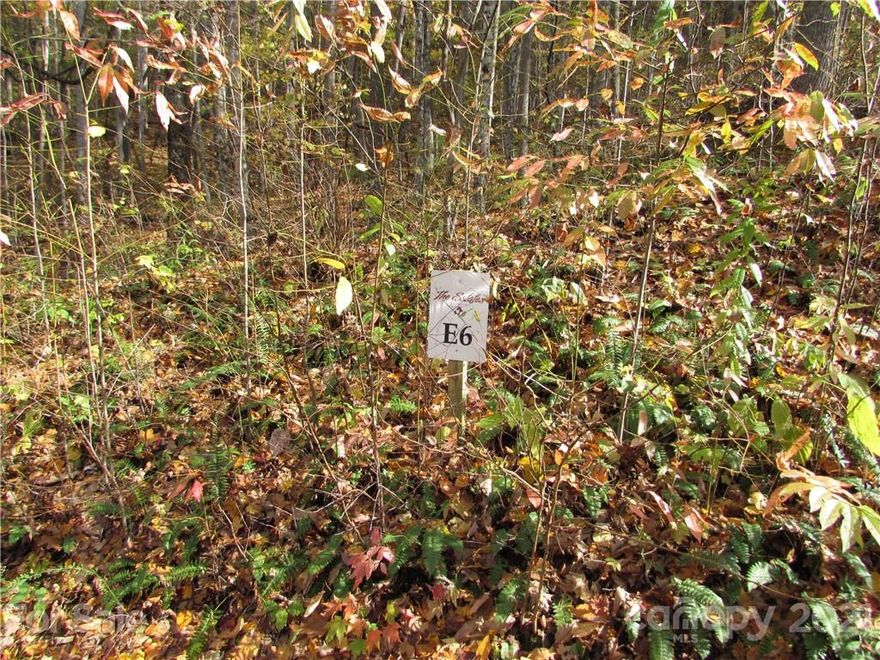 OWNER FINANCE AT 1/2 OFF PREVAILING RATE !!  Red Wolf Run is the perfect mountain community to escape to for your vacation or year round retirement home with 3000+'elevations. Features a clubhouse, green space with picnic area, waterfall and pond with catch-release fishing, gazebo, trails. Great roads throughout lead to this 2.76 acre lot with your choice of home site has easy access off main road. Level/gentle building site with underground electric, fiber internet and telephone offers views with no obstructions. This is about 15 minutes to the town of Mars Hill and Wolf Laurel Ski Resort. Less than 30 minutes to Asheville and 15 minutes to Burnsville.  The Black Mountains have become the destination for many wanting to escape if only for the weekend. Plenty to do yet the privacy to relax and enjoy life.  Start here by visiting this  beautiful mountain development with protected common areas, waterways, conservation areas and streams. Owner Financing at half off prevailing rates.