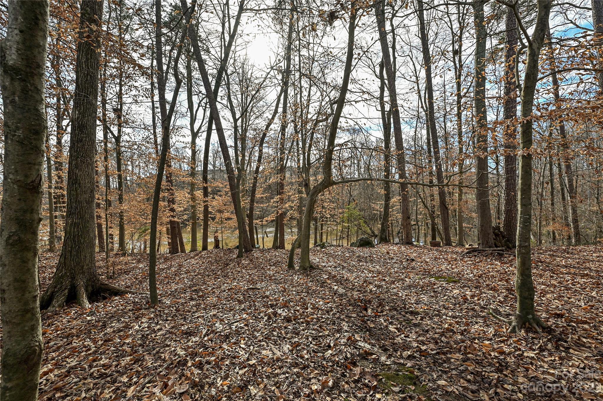 Riverfront - Residential