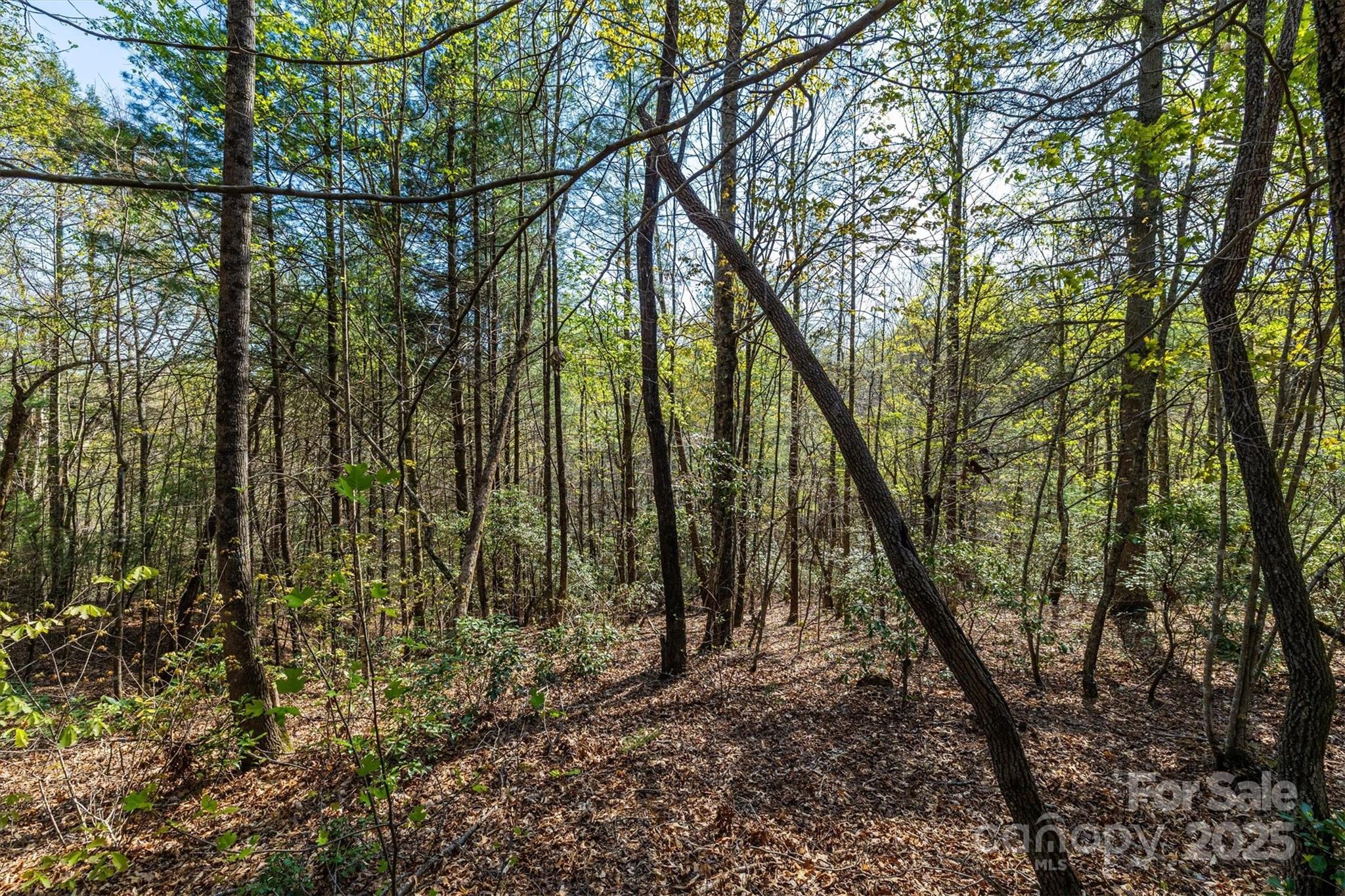 18 Walnut Ridge Way 2.65 Acres