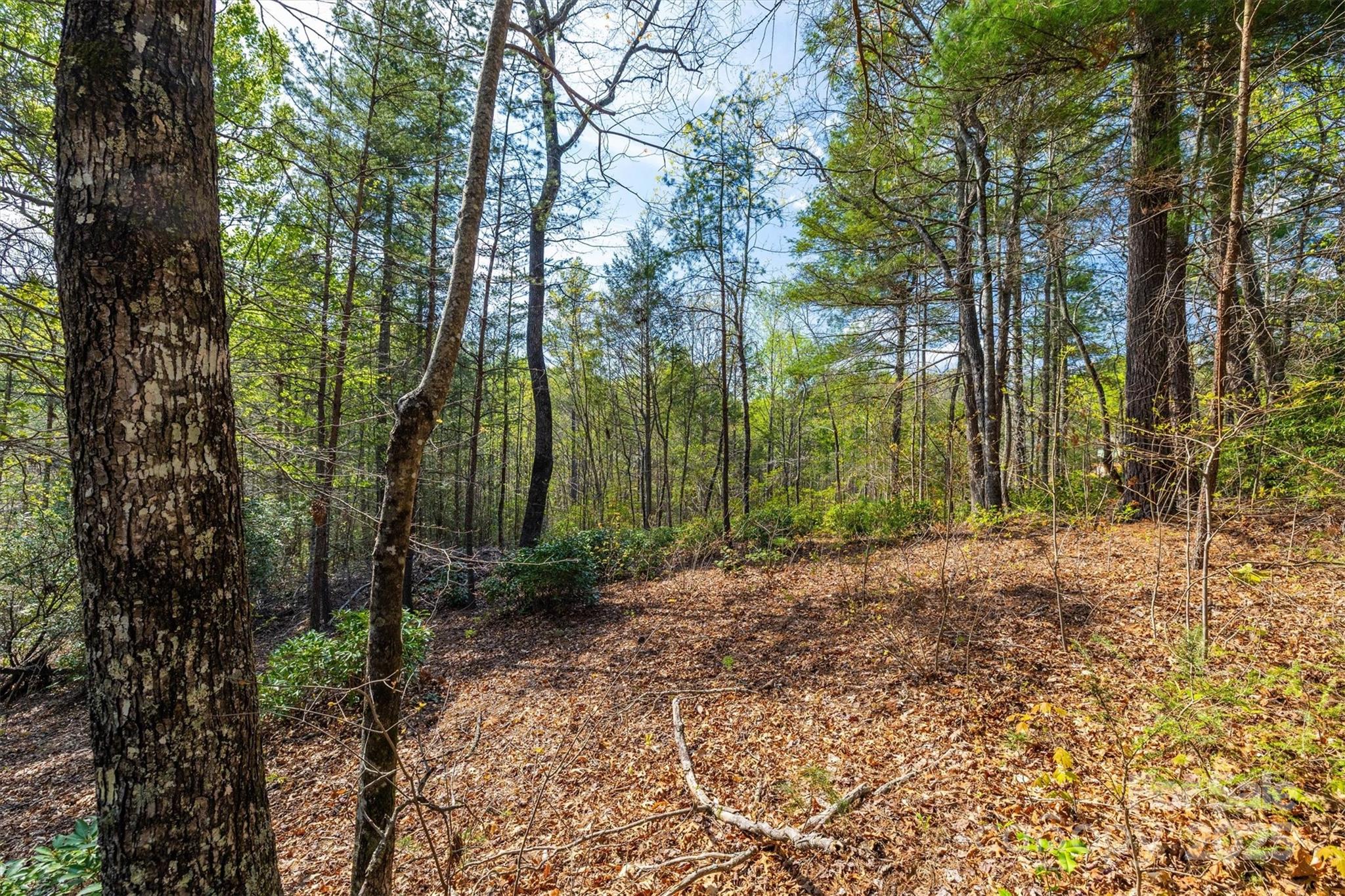 18 Walnut Ridge Way 2.65 Acres