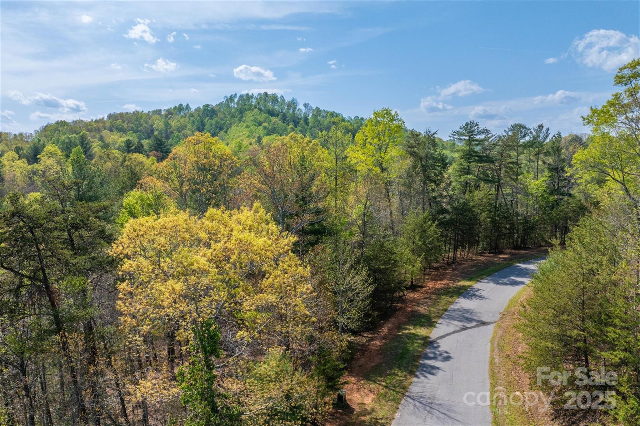 18 Walnut Ridge Way 2.65 Acres