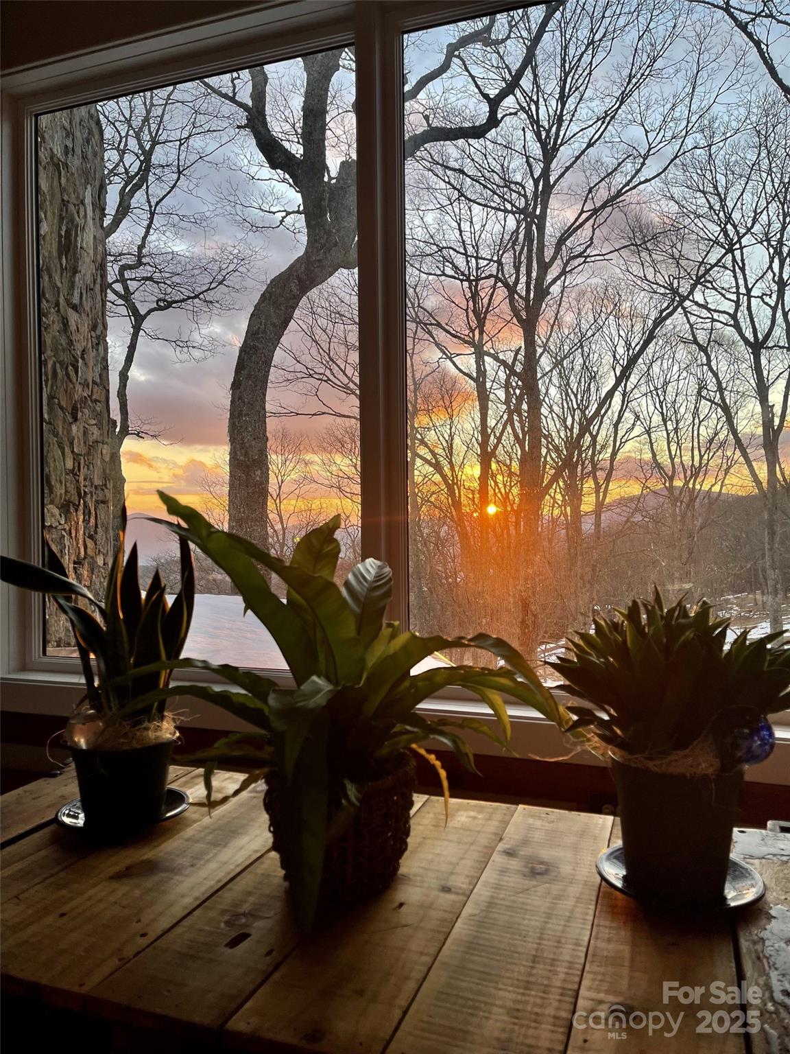 Cataloochee Ranch - Residential