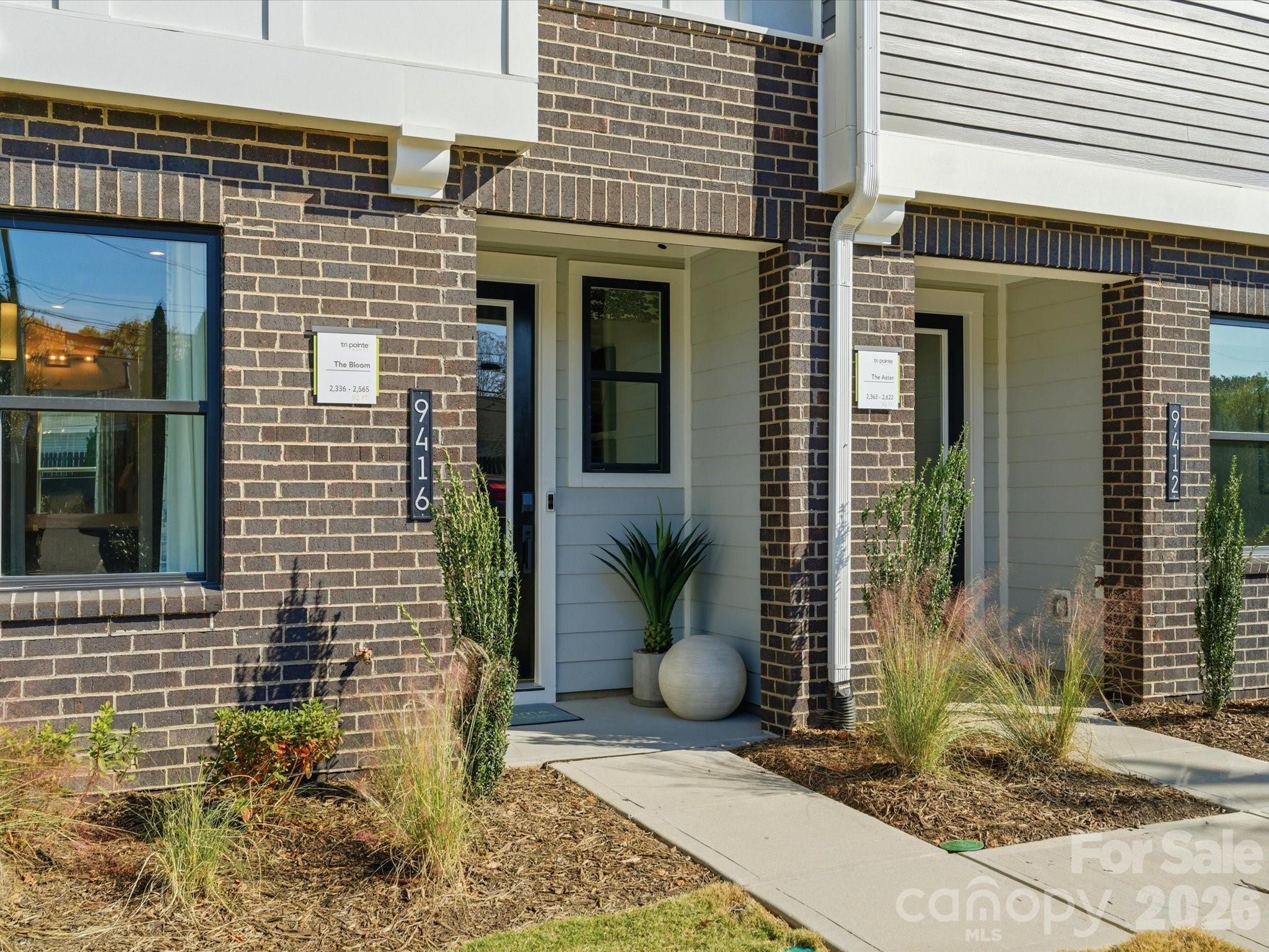 6008 Yellow Buckeye Drive