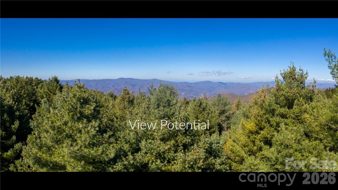 197 Eagle Bald Trail Unit Lot 34, Burnsville, NC, 28714