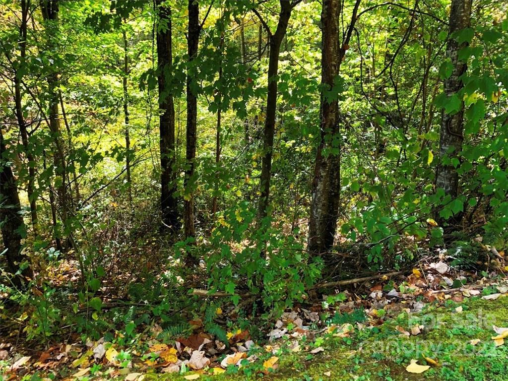 30 Cadillac Pointe 30