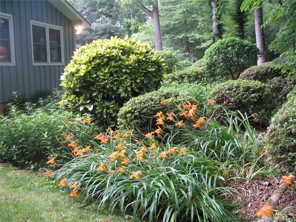 Greenwood Forest - Residential