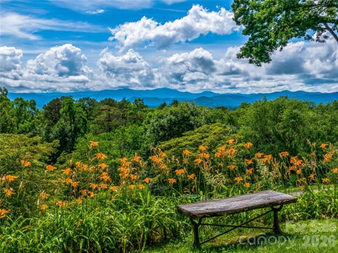 Photo of 170 Twin Springs Road, Hendersonville, NC 28792 (MLS # 4431168)