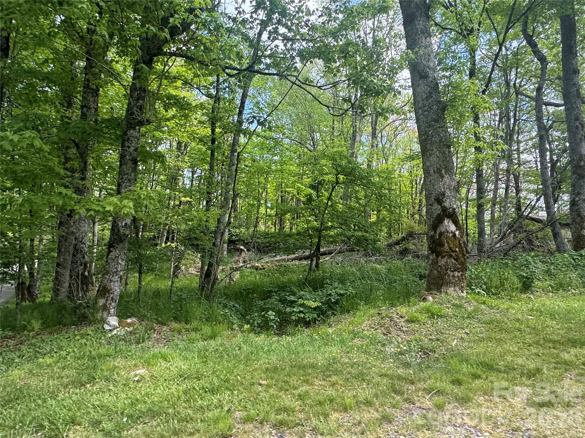 1026 Wolfs Head Court