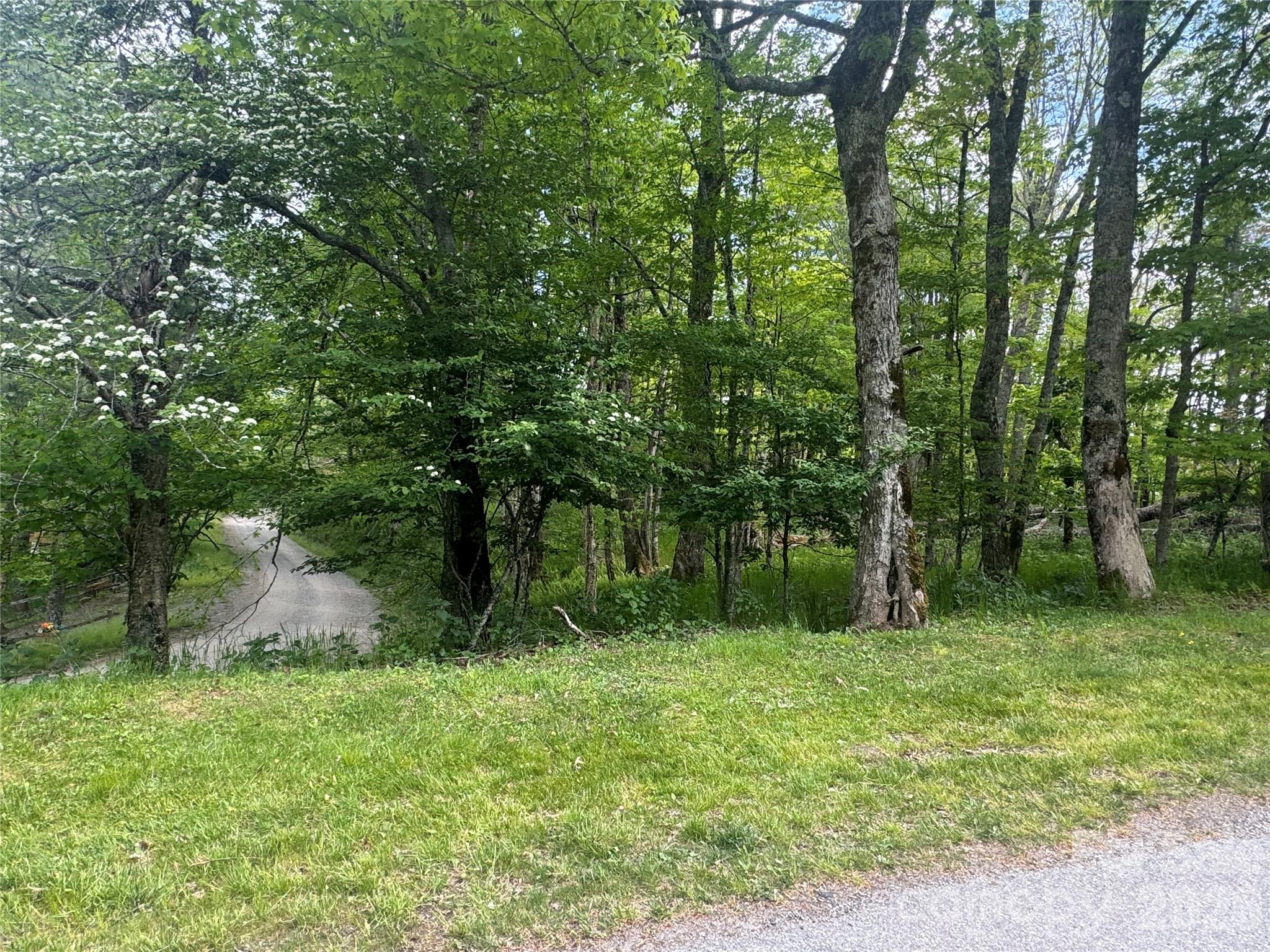 1026 Wolfs Head Court